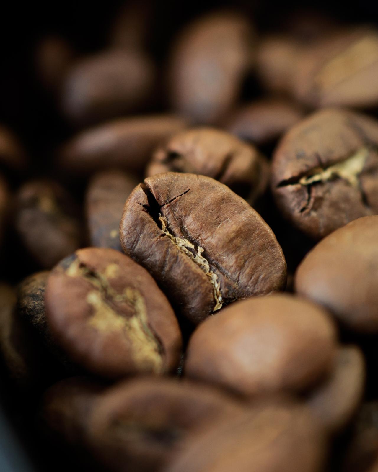 كوستاريكا - 5 أكياس ترشيح في العلبة